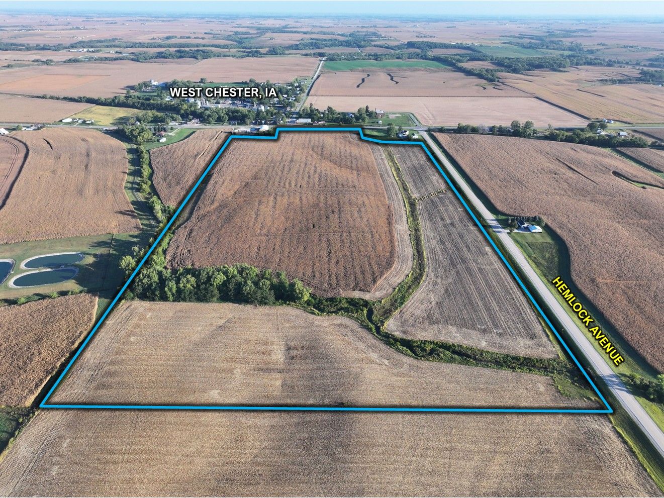 Listing Photo: Washington County, IA Land Auction 4